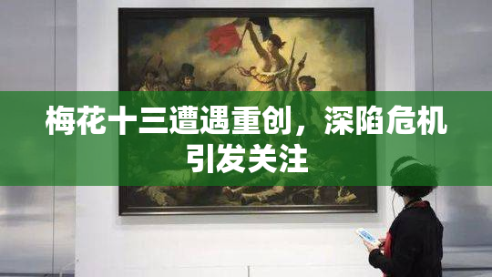 梅花十三遭遇重创，深陷危机引发关注
