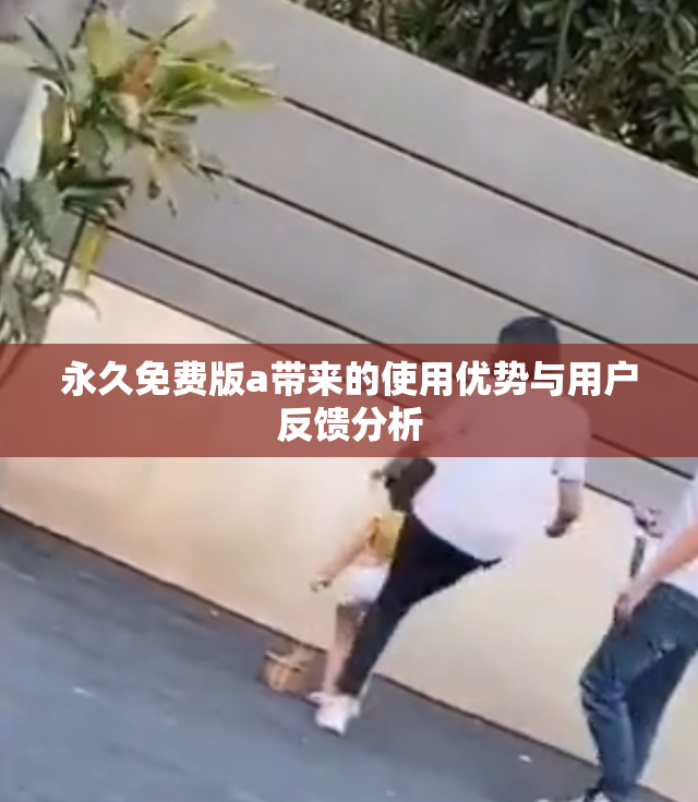 永久免费版a带来的使用优势与用户反馈分析