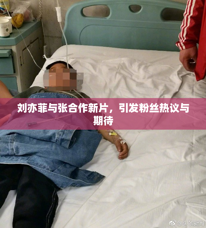 刘亦菲与张合作新片，引发粉丝热议与期待