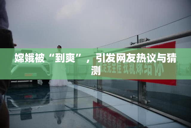 嫦娥被“到爽”，引发网友热议与猜测