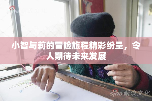 小智与莉的冒险旅程精彩纷呈，令人期待未来发展