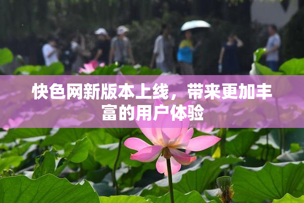 快色网新版本上线，带来更加丰富的用户体验