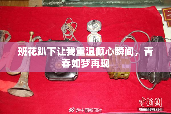 班花趴下让我重温倾心瞬间，青春如梦再现