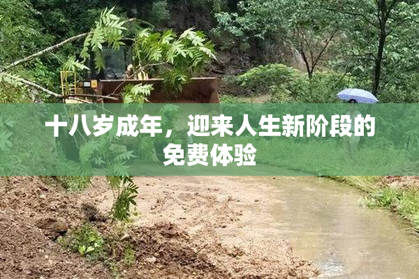十八岁成年，迎来人生新阶段的免费体验