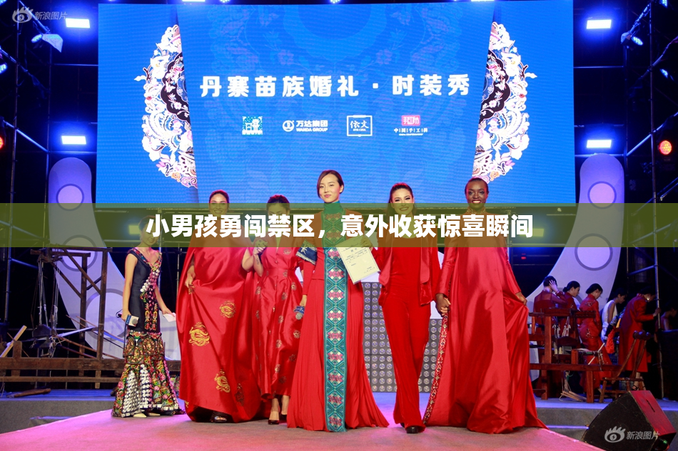 小男孩勇闯禁区，意外收获惊喜瞬间