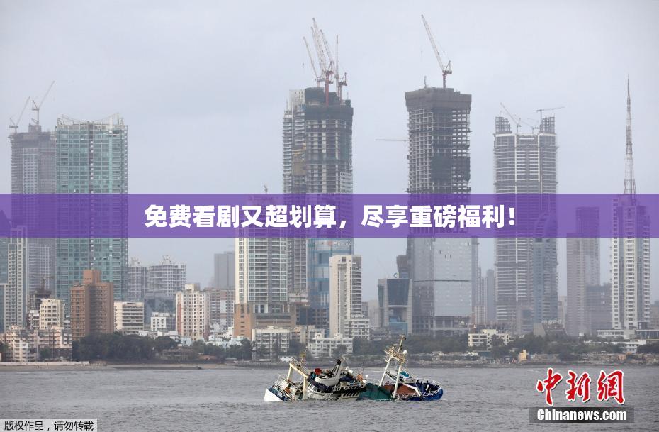 免费看剧又超划算，尽享重磅福利！