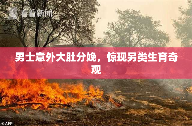 男士意外大肚分娩，惊现另类生育奇观