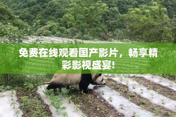 免费在线观看国产影片，畅享精彩影视盛宴!