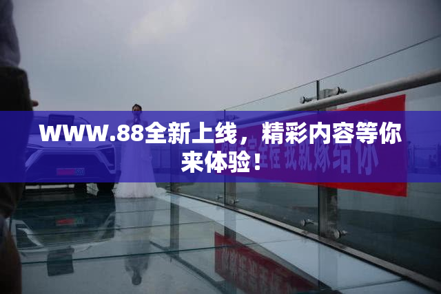 WWW.88全新上线，精彩内容等你来体验！