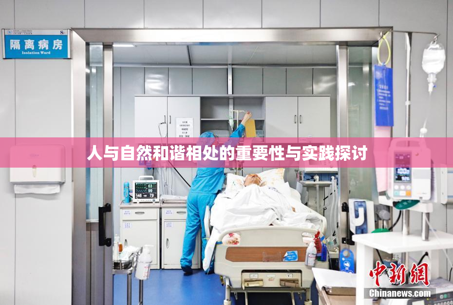 人与自然和谐相处的重要性与实践探讨