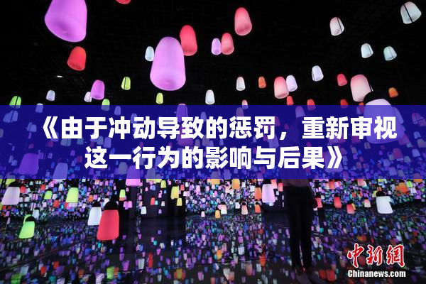 《由于冲动导致的惩罚，重新审视这一行为的影响与后果》