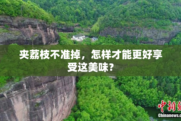夹荔枝不准掉，怎样才能更好享受这美味？