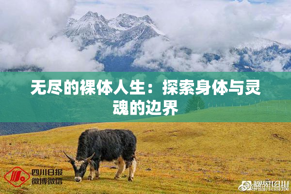 无尽的裸体人生：探索身体与灵魂的边界