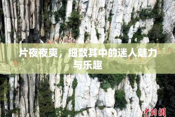 片夜夜爽，细数其中的迷人魅力与乐趣