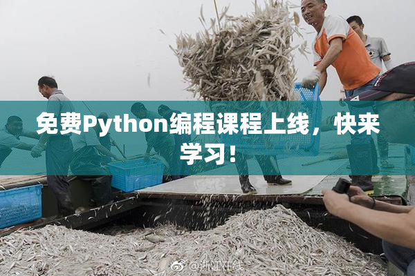 免费Python编程课程上线，快来学习！
