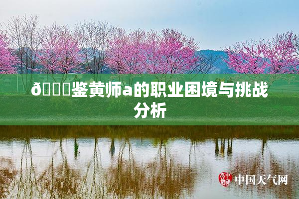 🔞鉴黄师a的职业困境与挑战分析