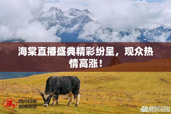 海棠直播盛典精彩纷呈，观众热情高涨！