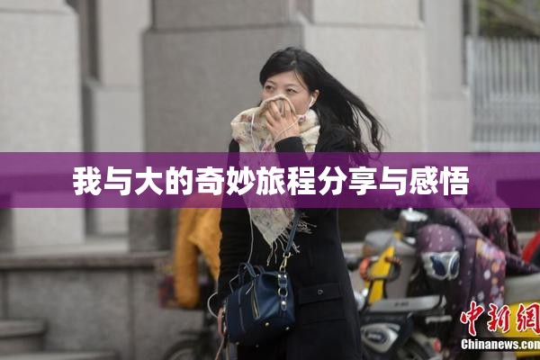 我与大的奇妙旅程分享与感悟