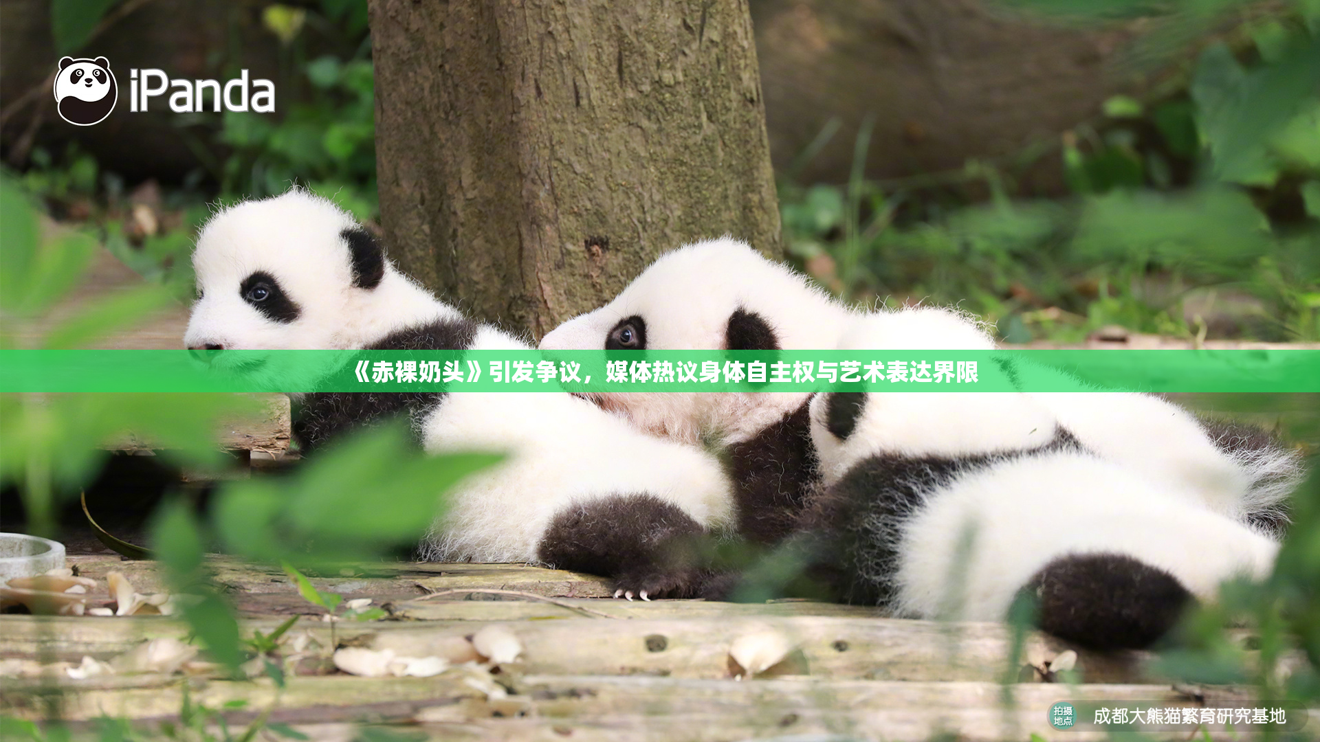 《赤裸奶头》引发争议，媒体热议身体自主权与艺术表达界限