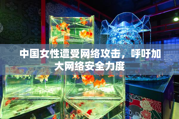 中国女性遭受网络攻击，呼吁加大网络安全力度