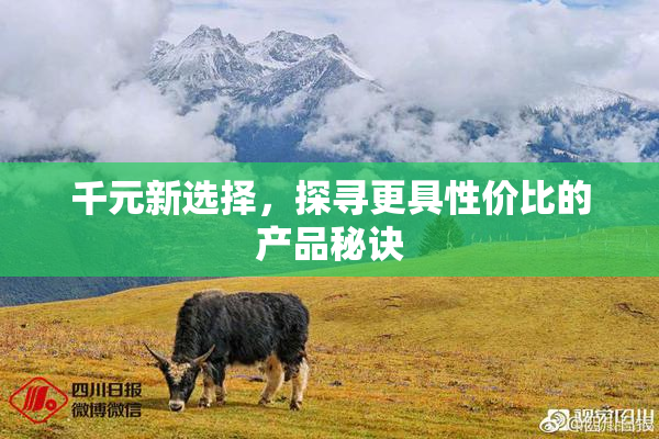 千元新选择，探寻更具性价比的产品秘诀
