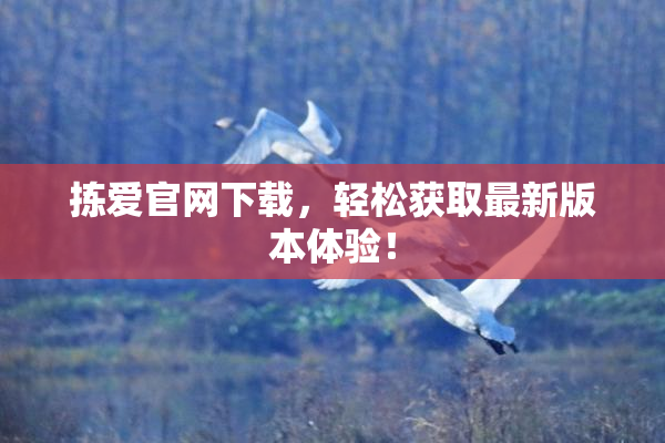 拣爱官网下载，轻松获取最新版本体验！