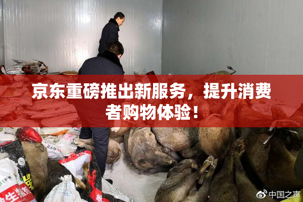 京东重磅推出新服务，提升消费者购物体验！