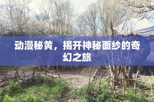 动漫秘黄，揭开神秘面纱的奇幻之旅