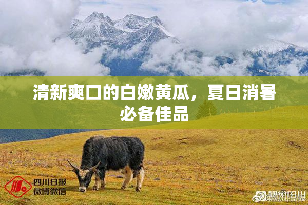 清新爽口的白嫩黄瓜，夏日消暑必备佳品