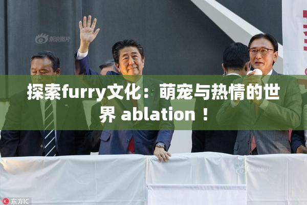 探索furry文化：萌宠与热情的世界 ablation ！