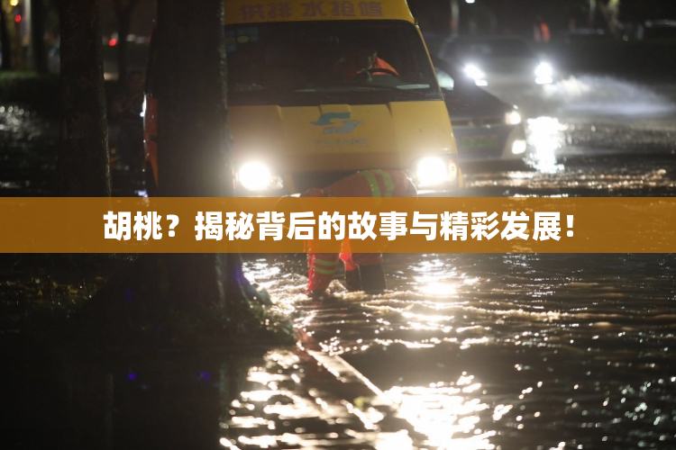 胡桃？揭秘背后的故事与精彩发展！