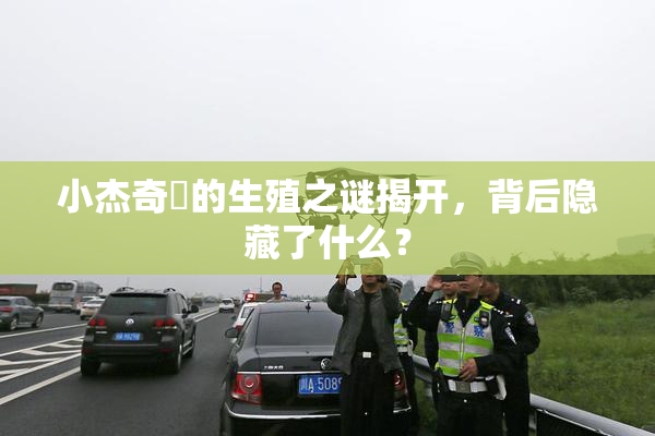 小杰奇犽的生殖之谜揭开，背后隐藏了什么？