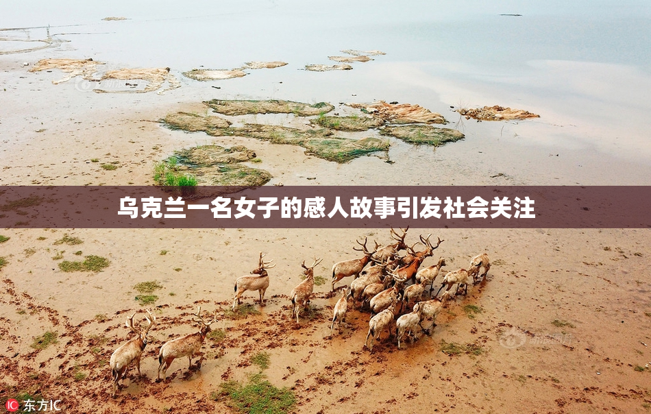 乌克兰一名女子的感人故事引发社会关注