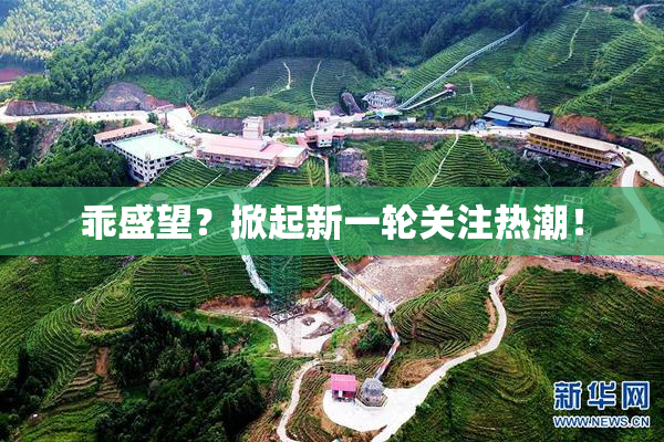 乖盛望？掀起新一轮关注热潮！