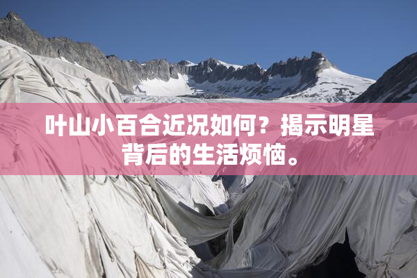 叶山小百合近况如何？揭示明星背后的生活烦恼。