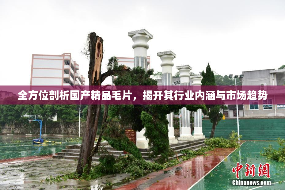 全方位剖析国产精品毛片，揭开其行业内涵与市场趋势