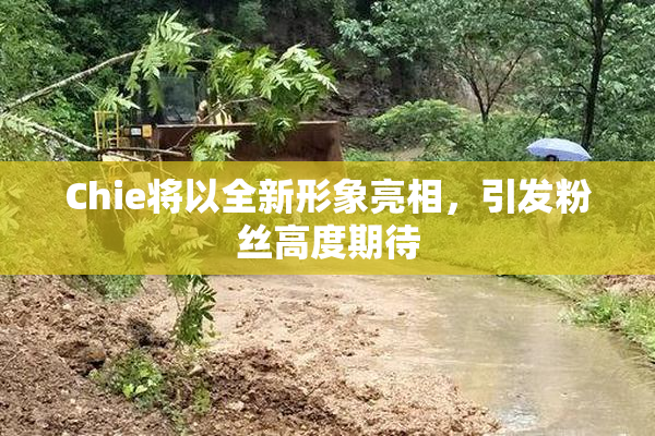 Chie将以全新形象亮相，引发粉丝高度期待