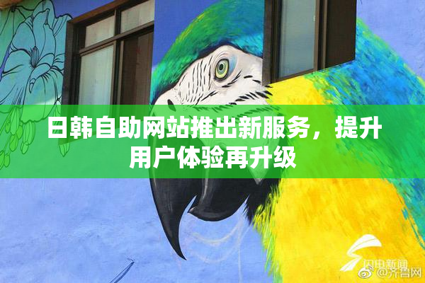日韩自助网站推出新服务，提升用户体验再升级