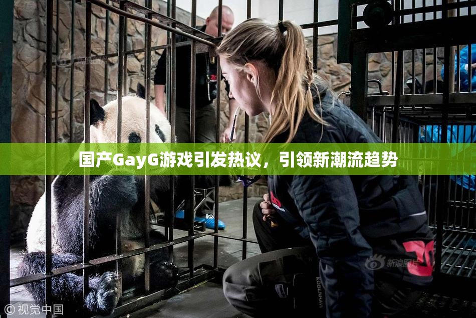 国产GayG游戏引发热议，引领新潮流趋势