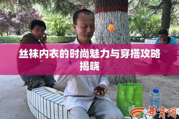 丝袜内衣的时尚魅力与穿搭攻略揭晓