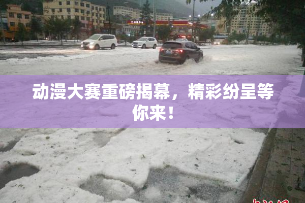 动漫大赛重磅揭幕，精彩纷呈等你来！