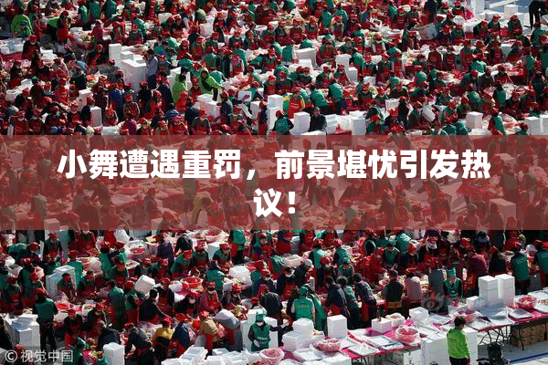 小舞遭遇重罚，前景堪忧引发热议！