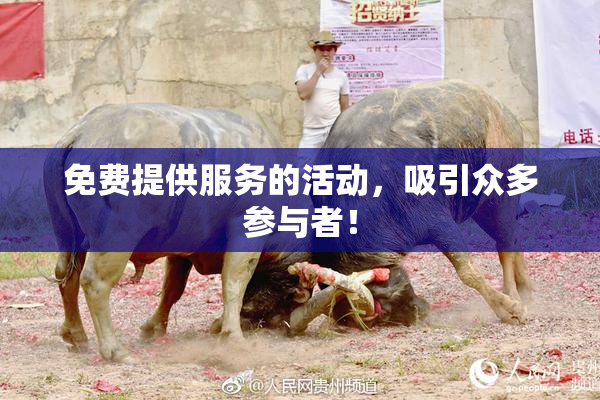 免费提供服务的活动，吸引众多参与者！