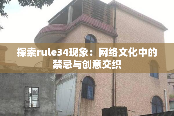 探索rule34现象：网络文化中的禁忌与创意交织