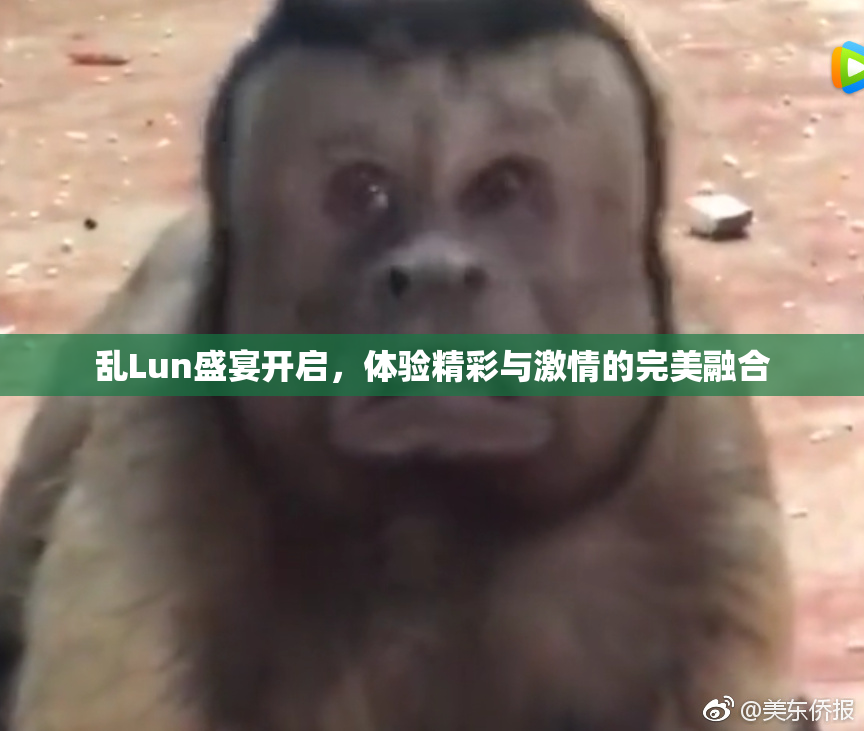 乱Lun盛宴开启，体验精彩与激情的完美融合