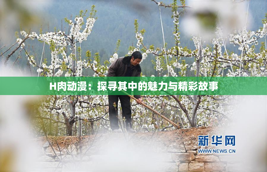 H肉动漫：探寻其中的魅力与精彩故事