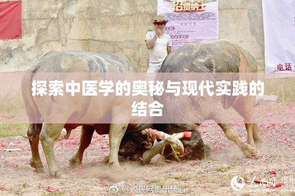 探索中医学的奥秘与现代实践的结合