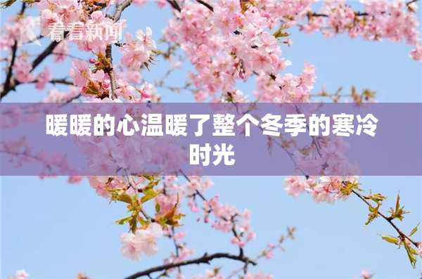 暖暖的心温暖了整个冬季的寒冷时光