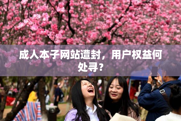 成人本子网站遭封，用户权益何处寻？