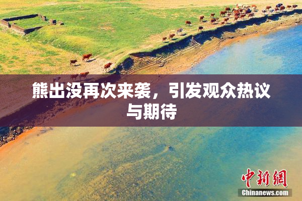 熊出没再次来袭，引发观众热议与期待
